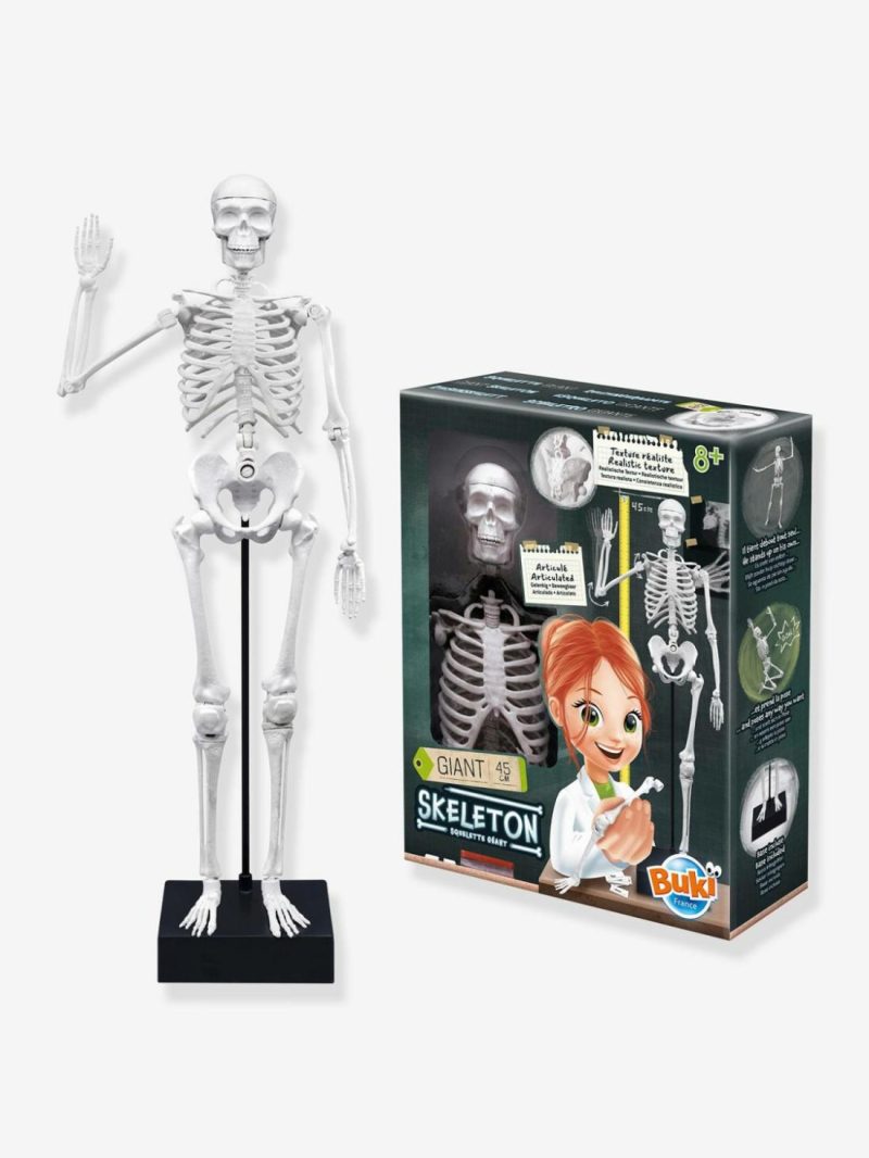 Skeleton Educational Games Multicoloured