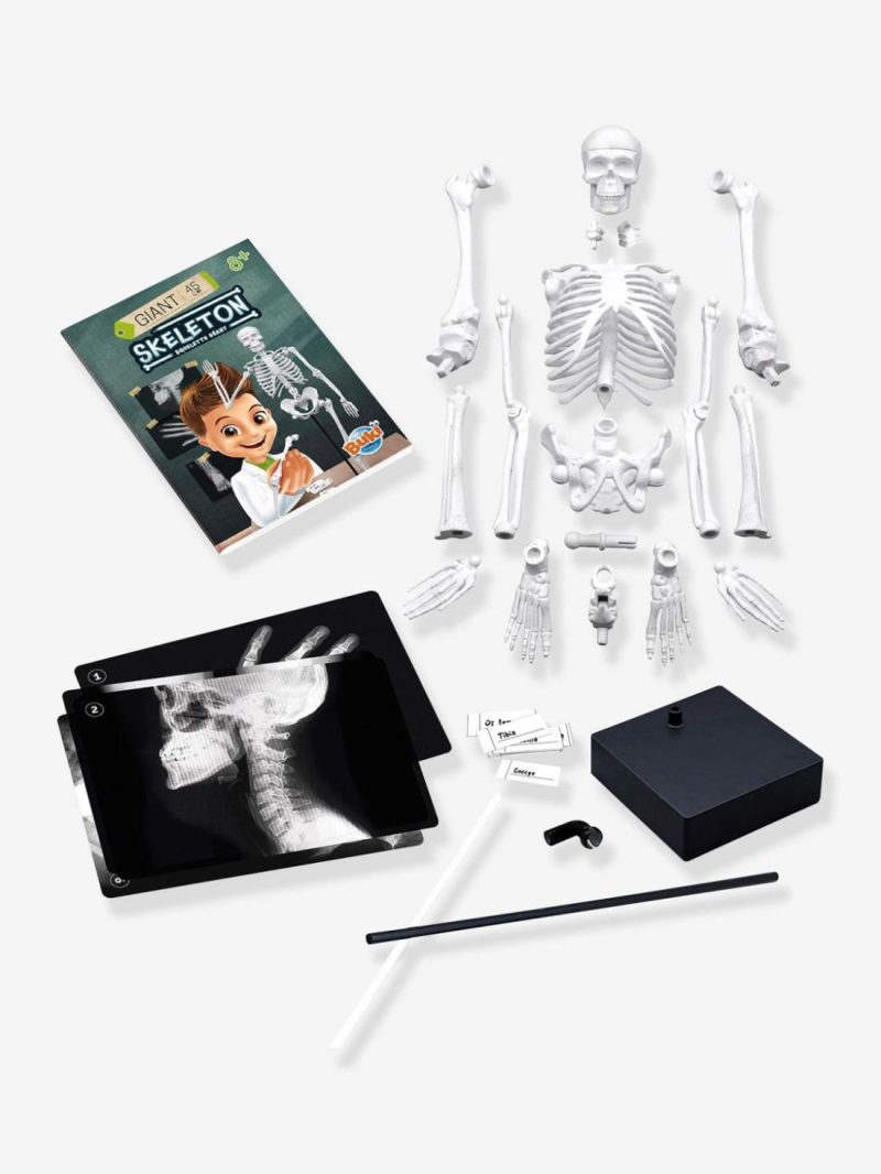 Skeleton Educational Games Multicoloured