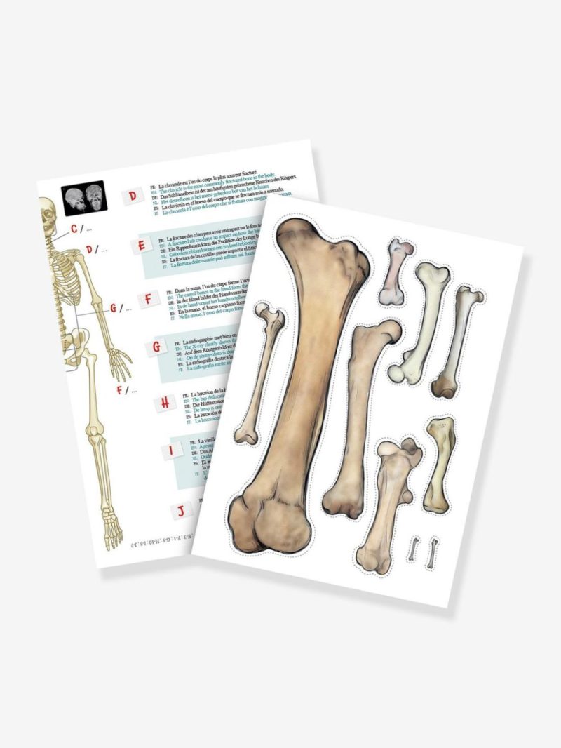 Skeleton Educational Games Multicoloured