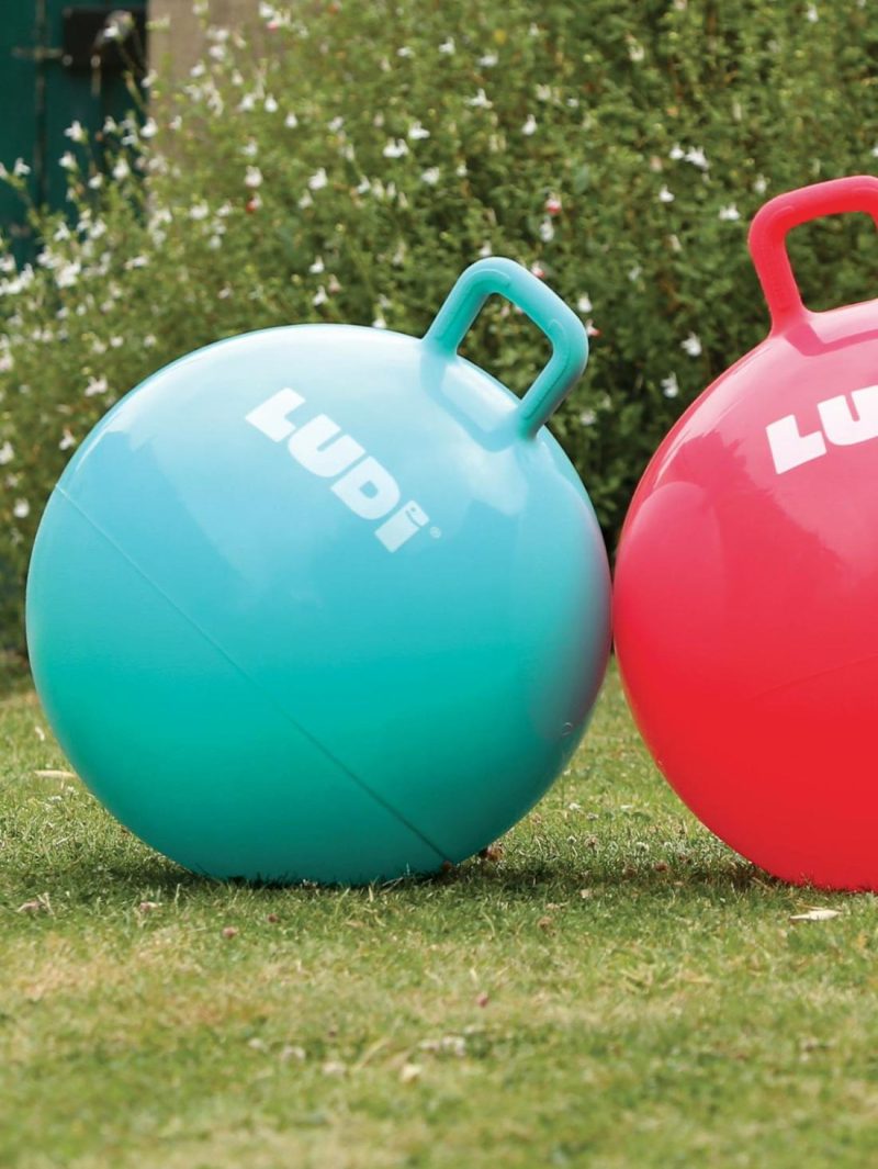 Xxl Space Hopper Outdoor Toys Blue